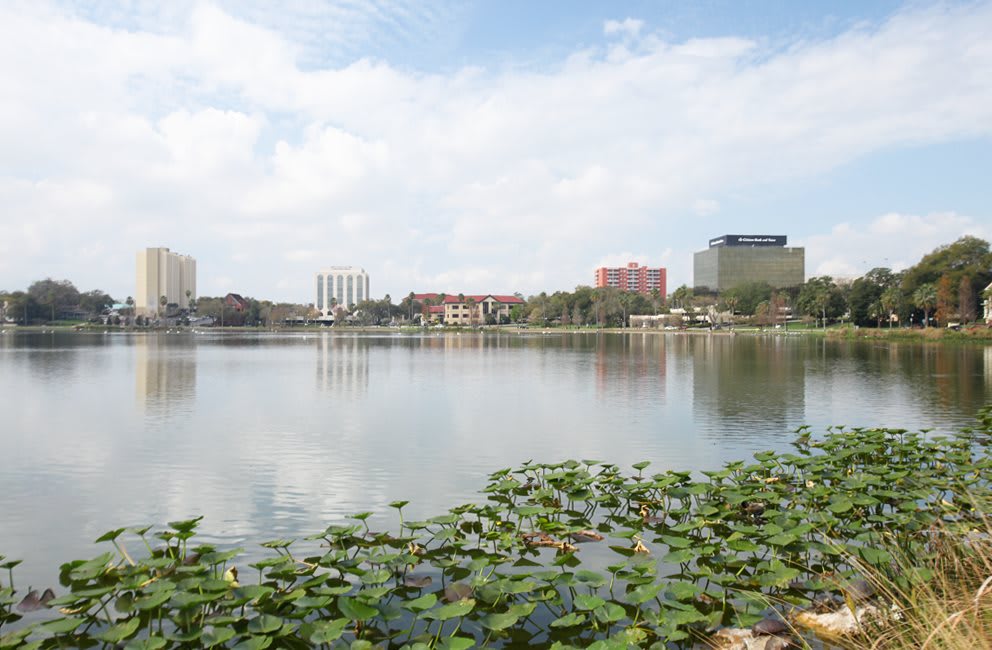 A serene cityscape view featuring a lake with lilypads and surrounding buildings under a partly cloudy sky.