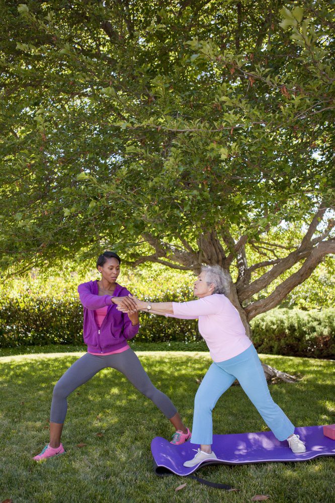 Two women practicing tai chi in a park under a large tree.