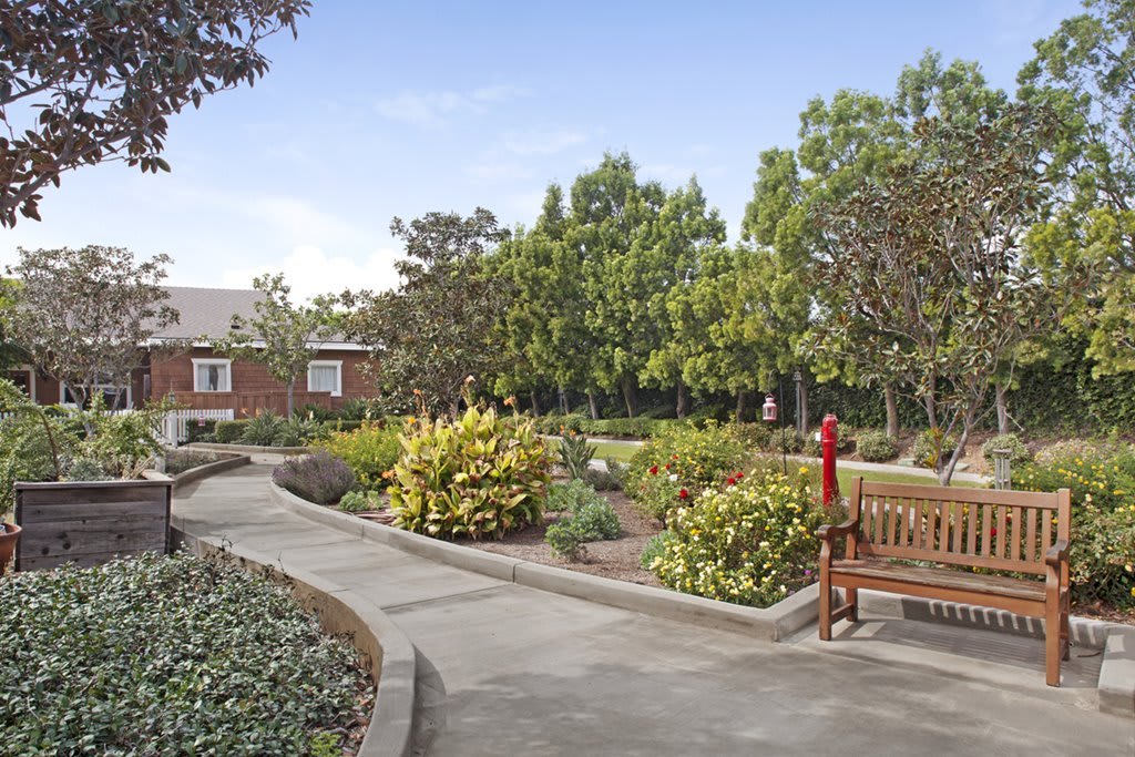 A tranquil garden with a winding pathway, surrounded by lush greenery and a wooden bench.
