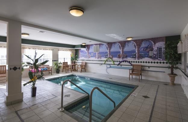An indoor hot tub area with seating, decorative plants, and a mural on the wall.