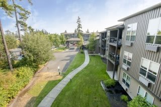 A view of a modern apartment complex with well-maintained landscaping, featuring a pathway and greenery.