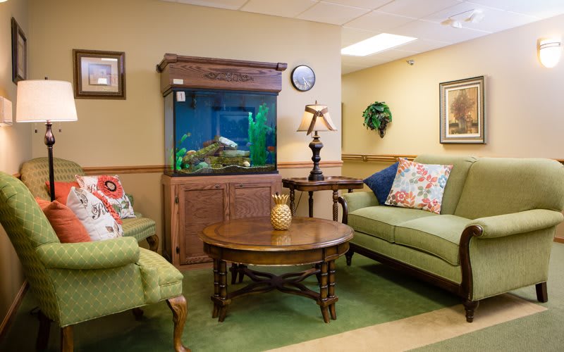 A cozy living room with an aquarium, green sofas, and a wooden table.