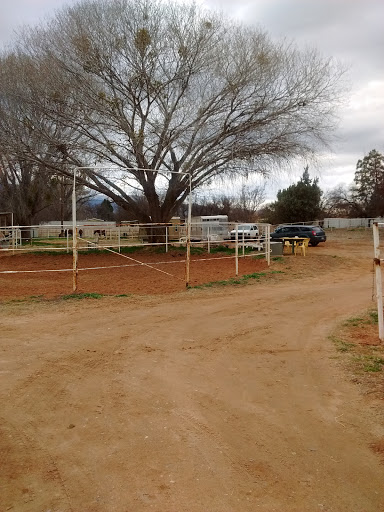 A peaceful farm scene featuring a dirt road, trees, and a fenced area under a cloudy sky.