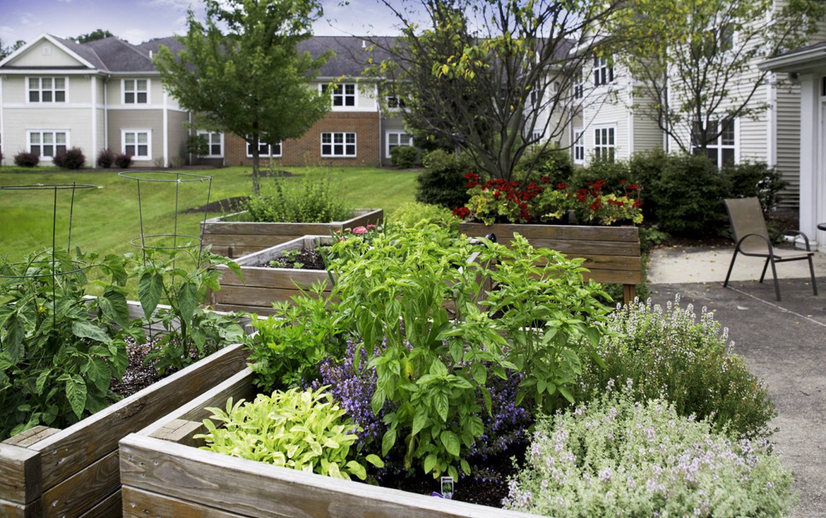 A lush garden with raised beds filled with various plants and greenery in an outdoor landscape.