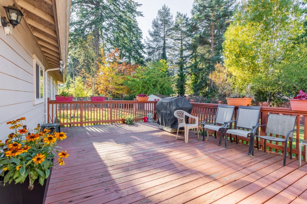 A sunny deck with outdoor furniture surrounded by lush trees.