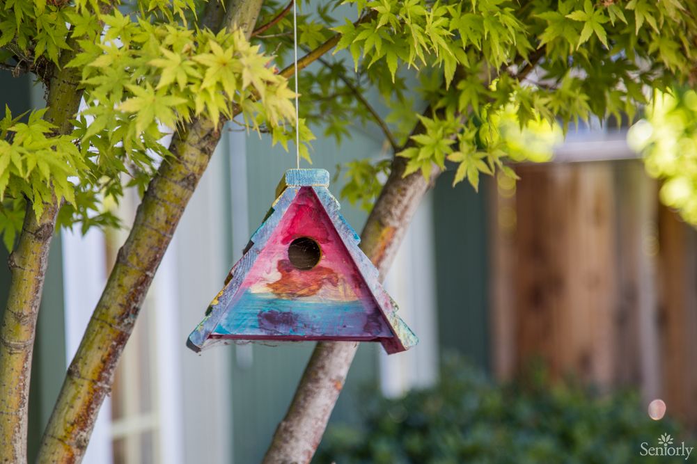 A colorful triangular birdhouse hanging from a tree branch amidst lush green leaves.