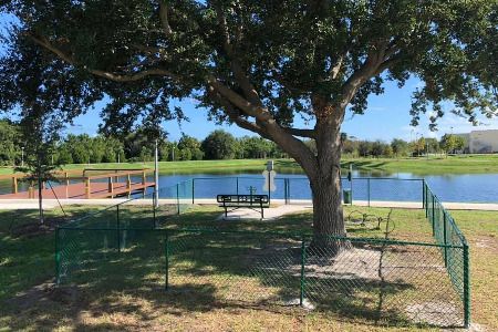 A peaceful park scene with a large tree providing shade near a lake, featuring a bench and a dock by the water.