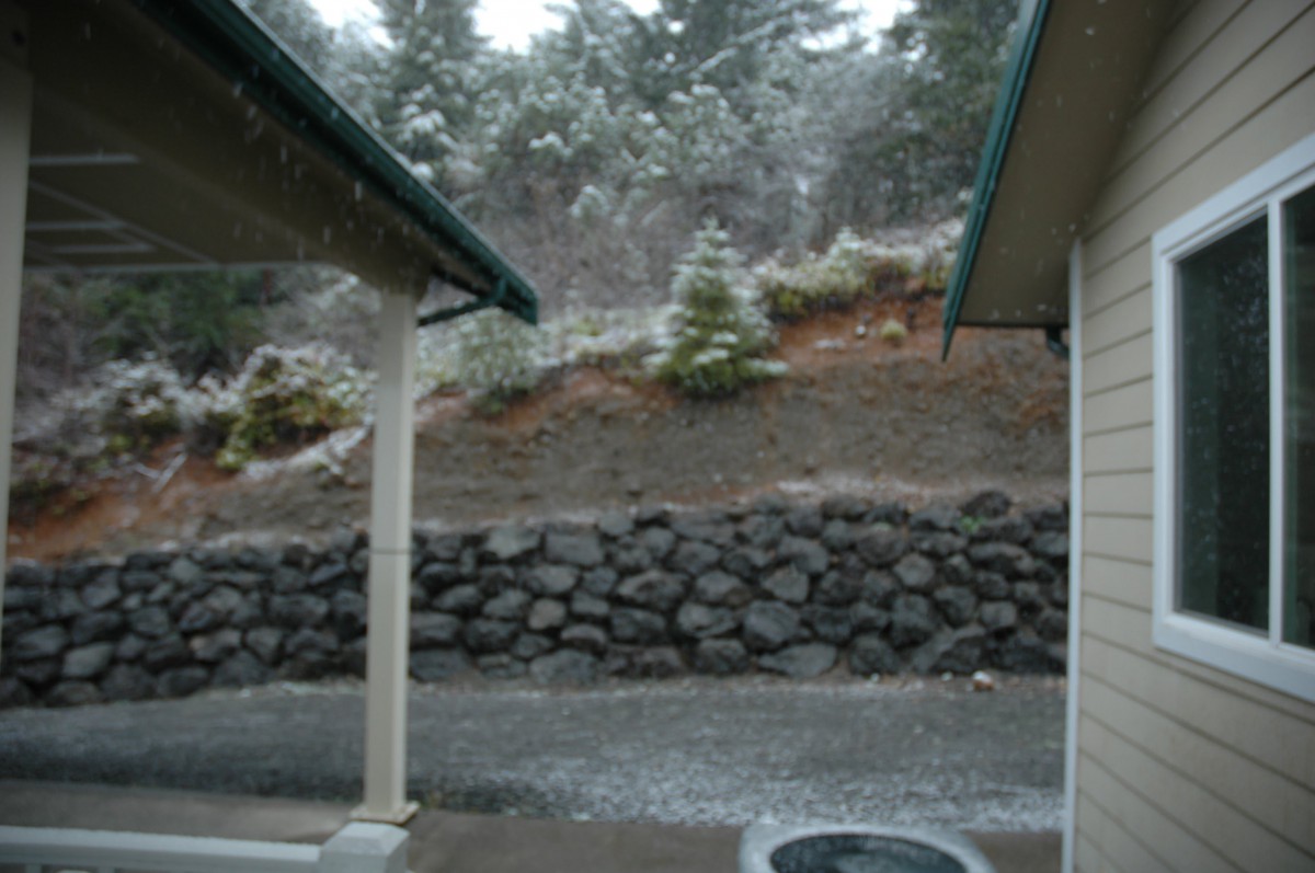 A snowy landscape with trees and a rock wall between two structures.