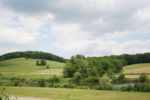 A serene landscape showcasing lush green hills and a calm body of water under a partly cloudy sky.