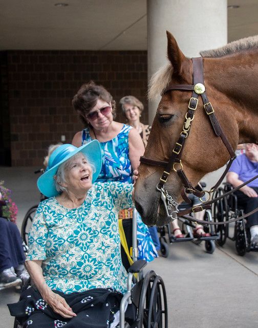 Home Instead Home Care