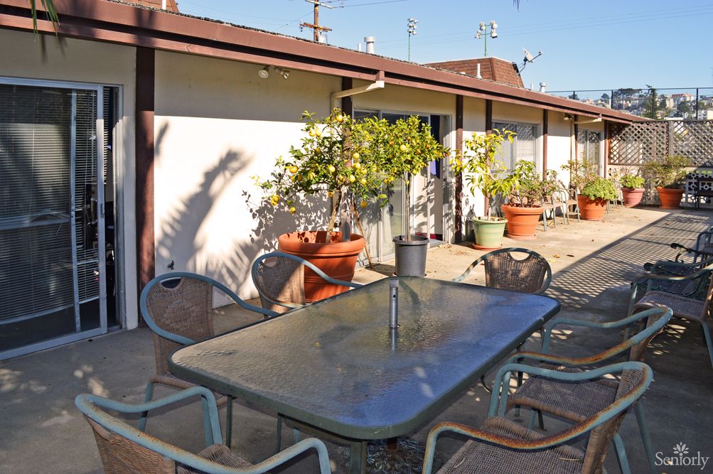 A sunny patio with a glass table and chairs surrounded by potted plants.