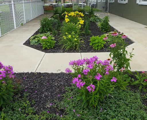 A beautifully landscaped garden featuring vibrant purple and yellow flowers surrounded by lush greenery.