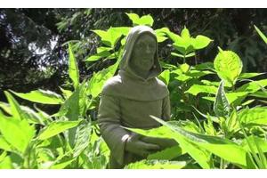 A statue of a hooded monk surrounded by lush green plants in a garden setting.