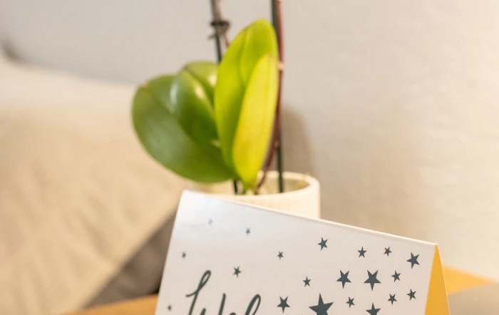 A decorative card in front of a small potted plant with green leaves.