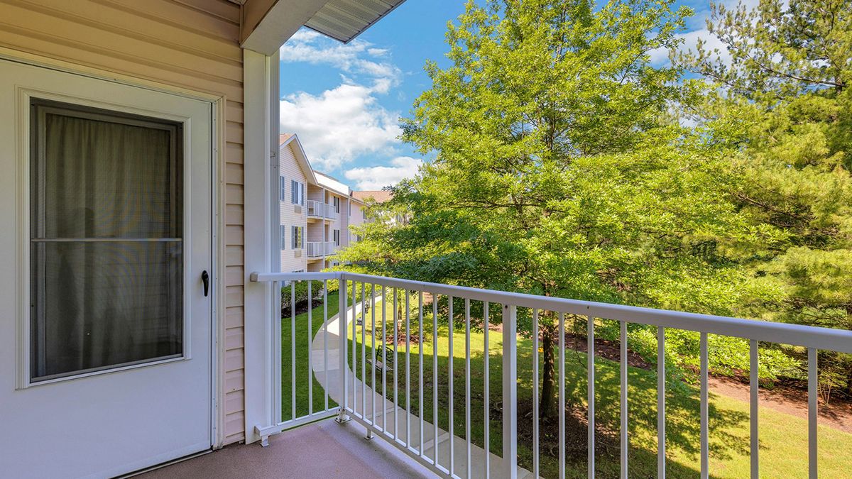 A sunny view from a balcony overlooking trees and residential buildings.