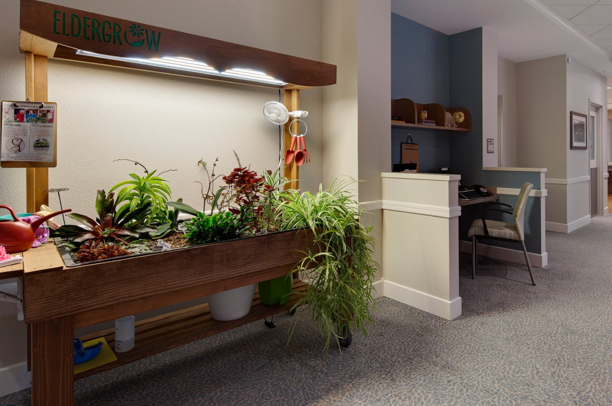 A modern indoor space with a well-lit planter filled with various green plants.