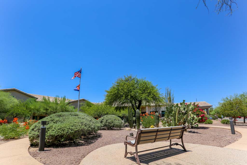 A serene park setting with a bench, trees, and flags on a sunny day.