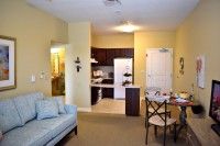 A cozy apartment interior with a living room and kitchen area.