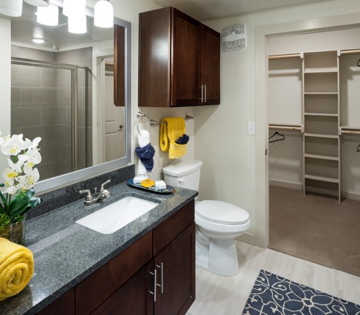 A modern bathroom with a countertop sink, wooden cabinets, and a walk-in closet visible in the background.