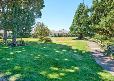 A sunny park with lush green grass, tall trees, and a winding pathway.