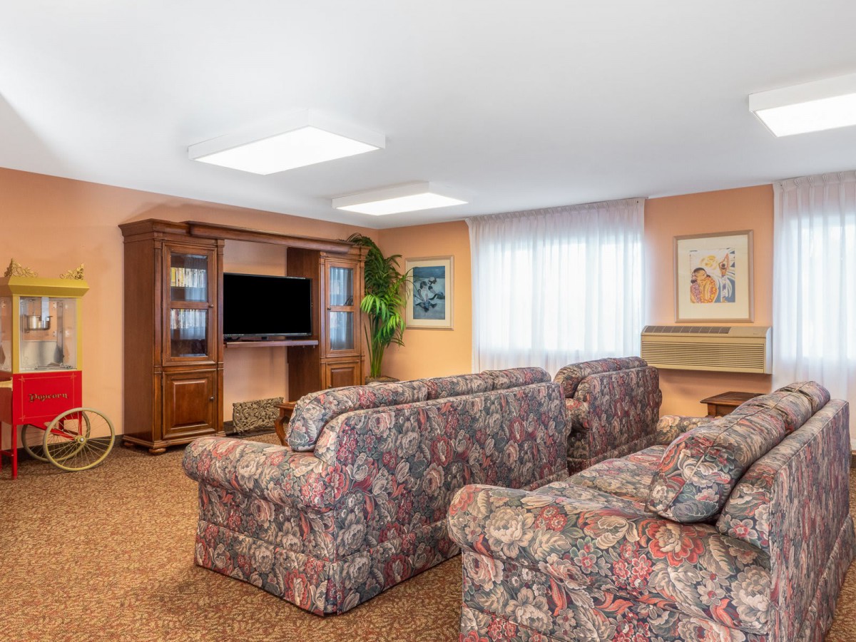 A cozy living room with patterned sofas, an entertainment center, and natural lighting.