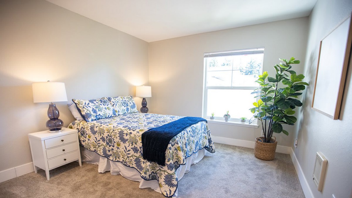 A cozy bedroom with a patterned bedspread, illuminated by natural light from a large window, featuring a bedside lamp and potted plant.