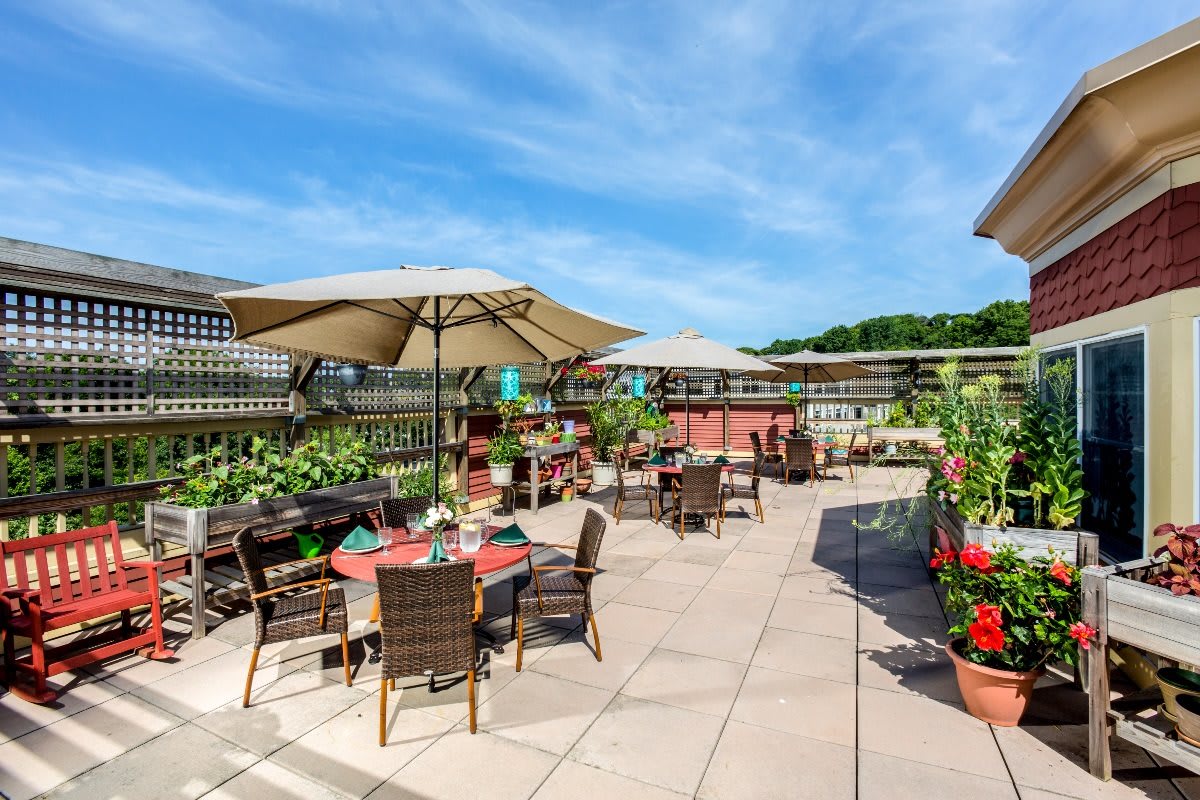 A sunny outdoor patio with tables, chairs, and umbrellas surrounded by plants.