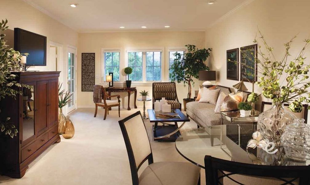 A stylish, well-lit living room with comfortable furniture and decorative plants.