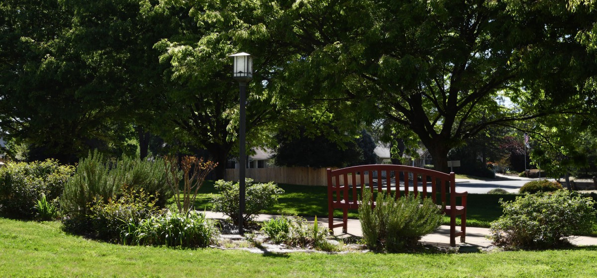 A peaceful garden scene featuring a red wooden bench and a lamp post surrounded by lush greenery and trees.
