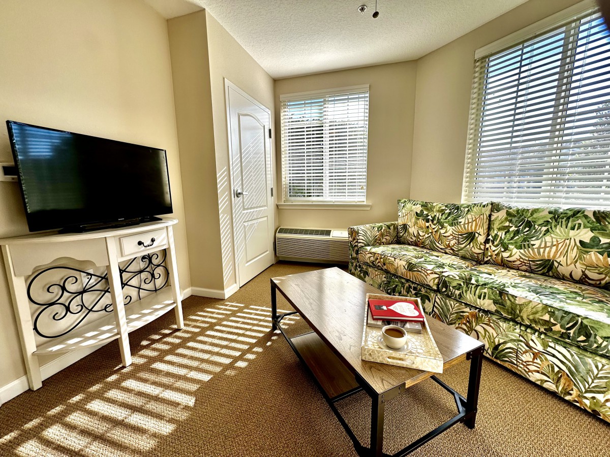 A cozy living room with a floral sofa, television, and sunlight streaming through the windows.