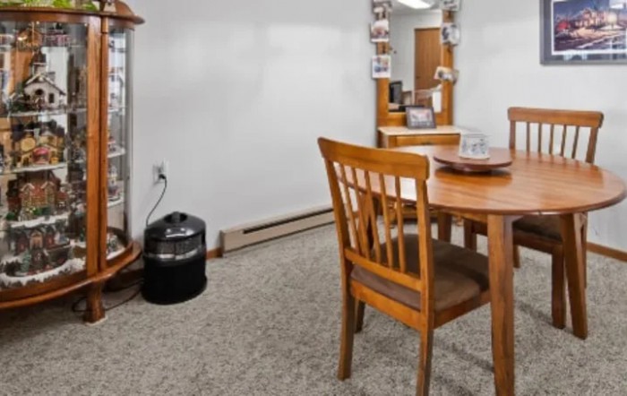 A dining area featuring a wooden table and chairs, with a mirror on the wall and carpeted flooring.