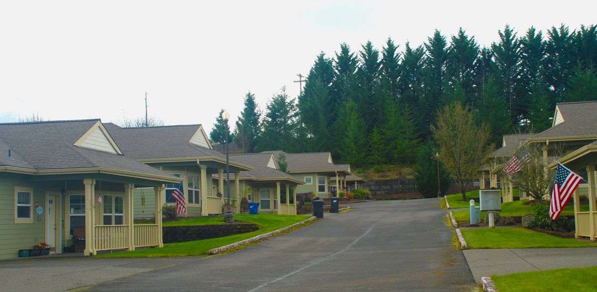 A residential neighborhood with houses lining a curved driveway, set against a backdrop of tall trees under an overcast sky.