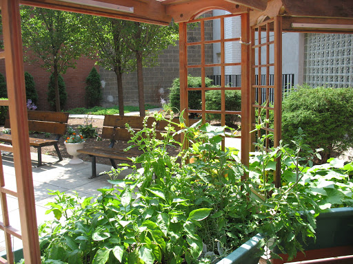 Schulman And Schachne Inst For Nursing & Rehab