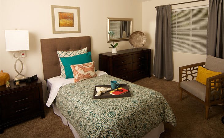 A cozy bedroom with a single bed featuring decorative pillows and a patterned comforter, complemented by a dresser with a mirror and a tray on the bed.