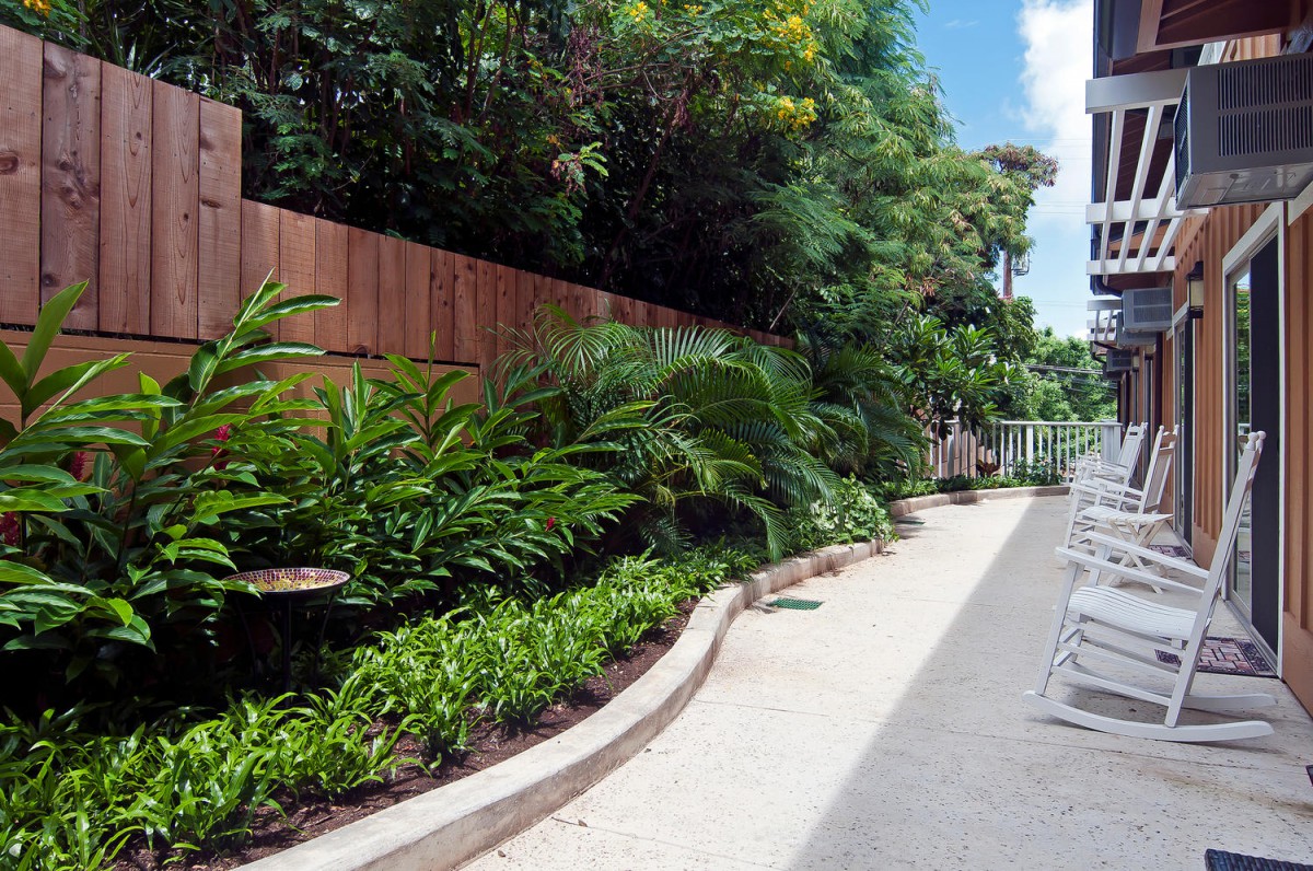 A lush garden pathway lined with vibrant greenery and a wooden fence on a sunny day.