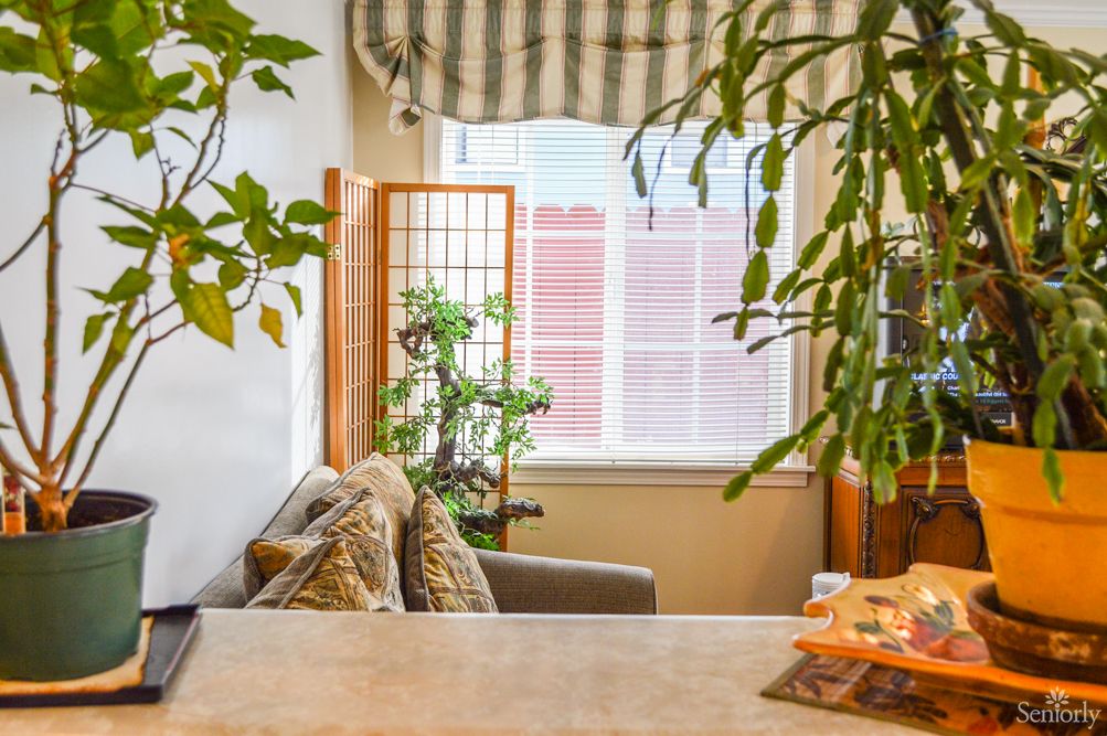 A cozy living room filled with indoor plants and natural light streaming through the window.