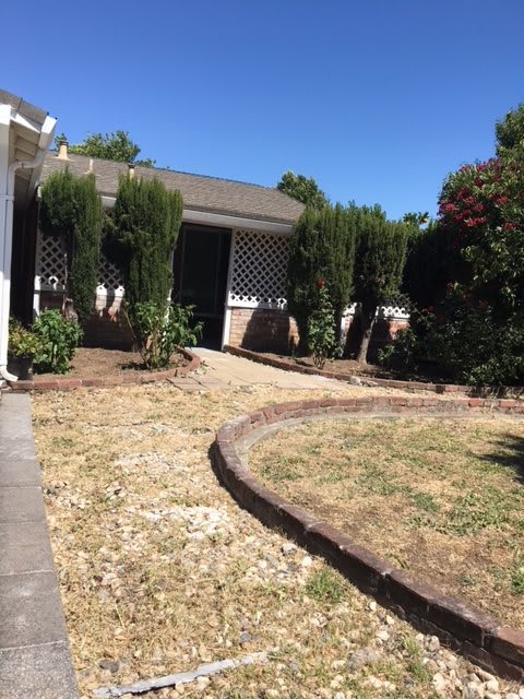 A house with a landscaped garden featuring a pathway and shrubs.
