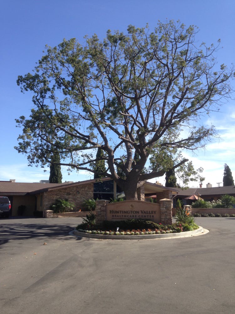 A large tree stands in front of a building on a sunny day.
