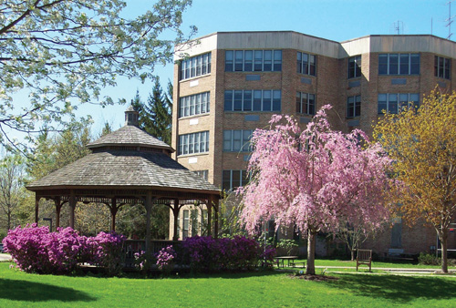 Ferncliff Nursing Home