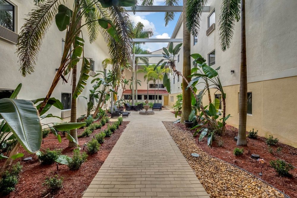 A tropical courtyard with palm trees lining a wooden pathway between apartment buildings.