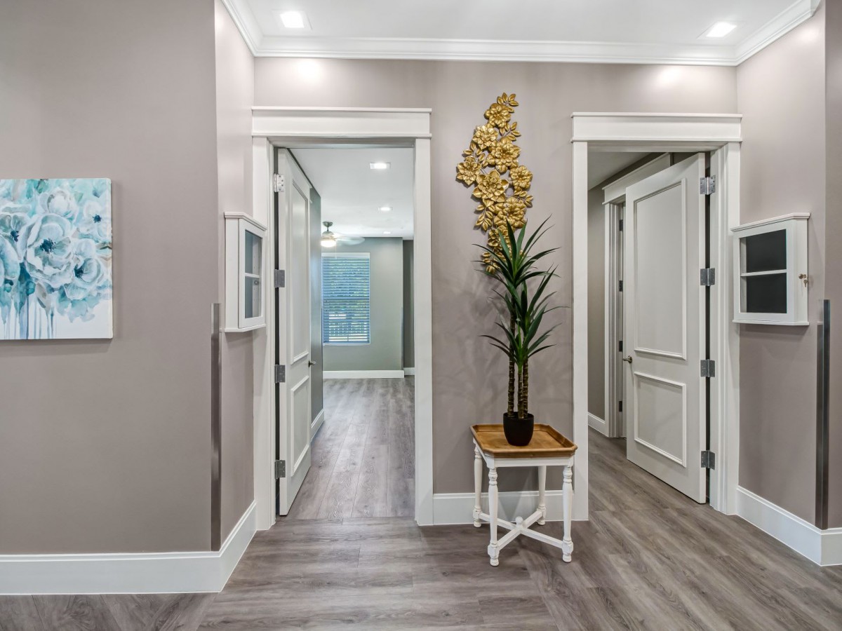 A modern hallway interior with a decorative plant and stylish flooring.