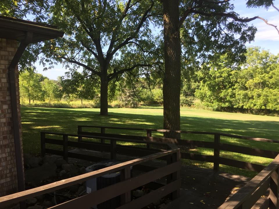 A sunny outdoor scene with trees, a wooden fence, and a grassy field.