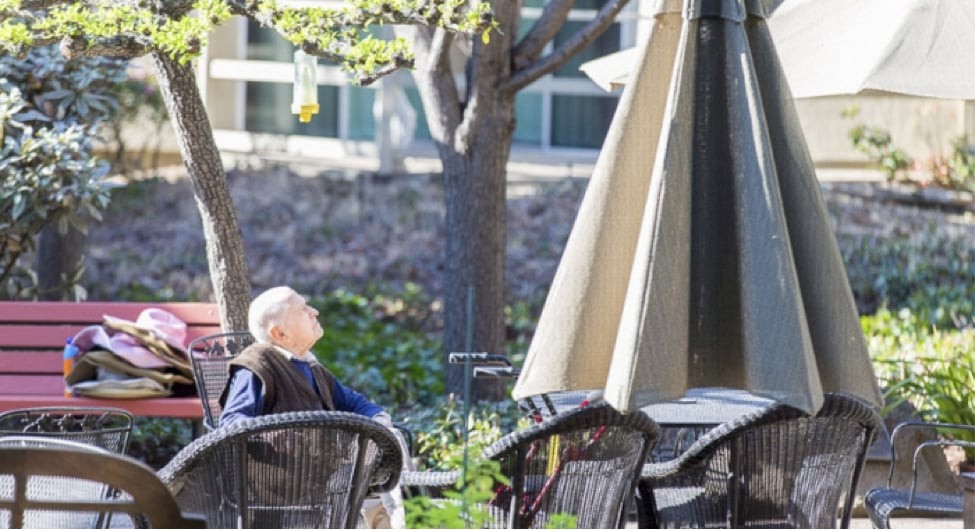 A person relaxing on a patio under the sunshine, surrounded by outdoor furniture and trees.