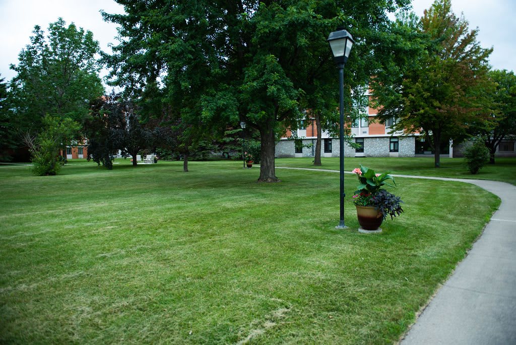 A serene park setting with a well-maintained lawn, trees, and a lamp post, adjacent to a building.