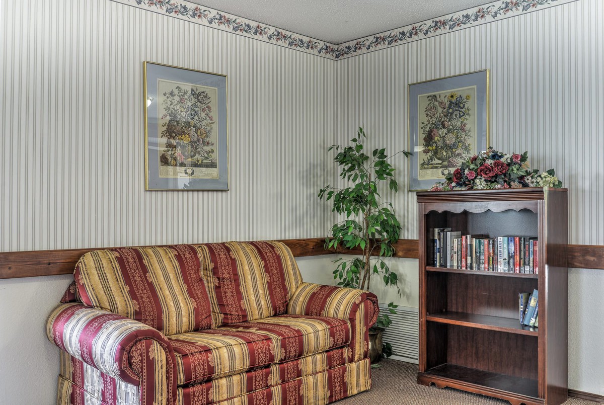 A cozy living room with a striped sofa, decorative wallpaper, and a bookshelf filled with books.