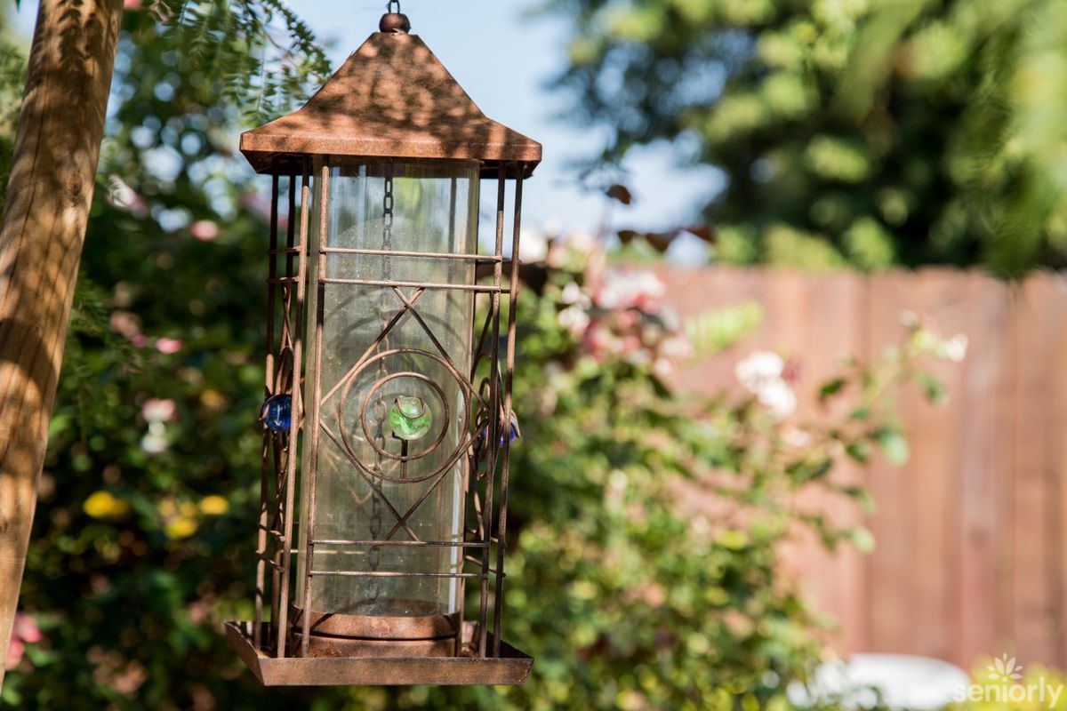 A rustic lantern hangs in a lush garden setting, surrounded by greenery.