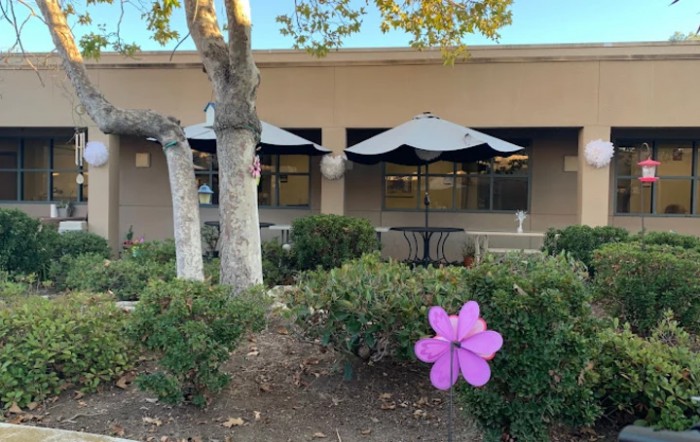 A patio area with umbrellas, trees, and a purple flower decoration in the foreground.