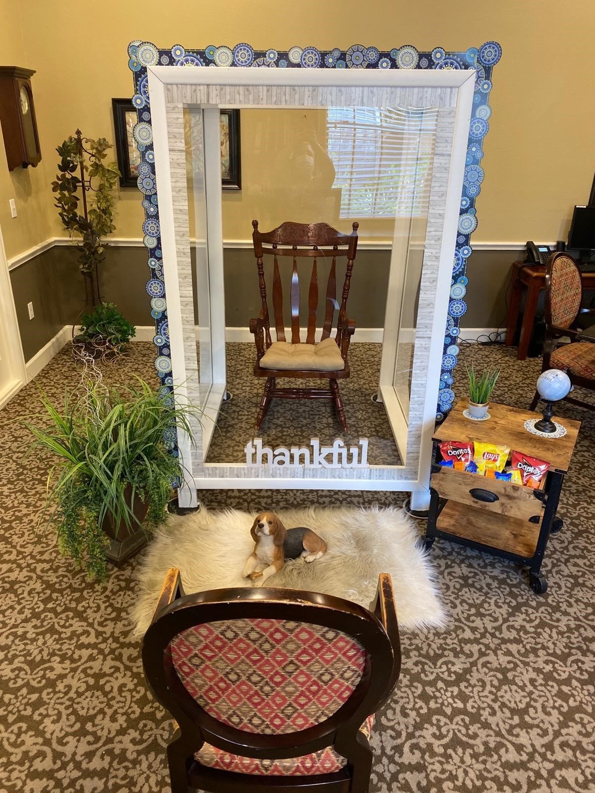 An art installation featuring a rocking chair inside a glass box with surrounding decor and plants.