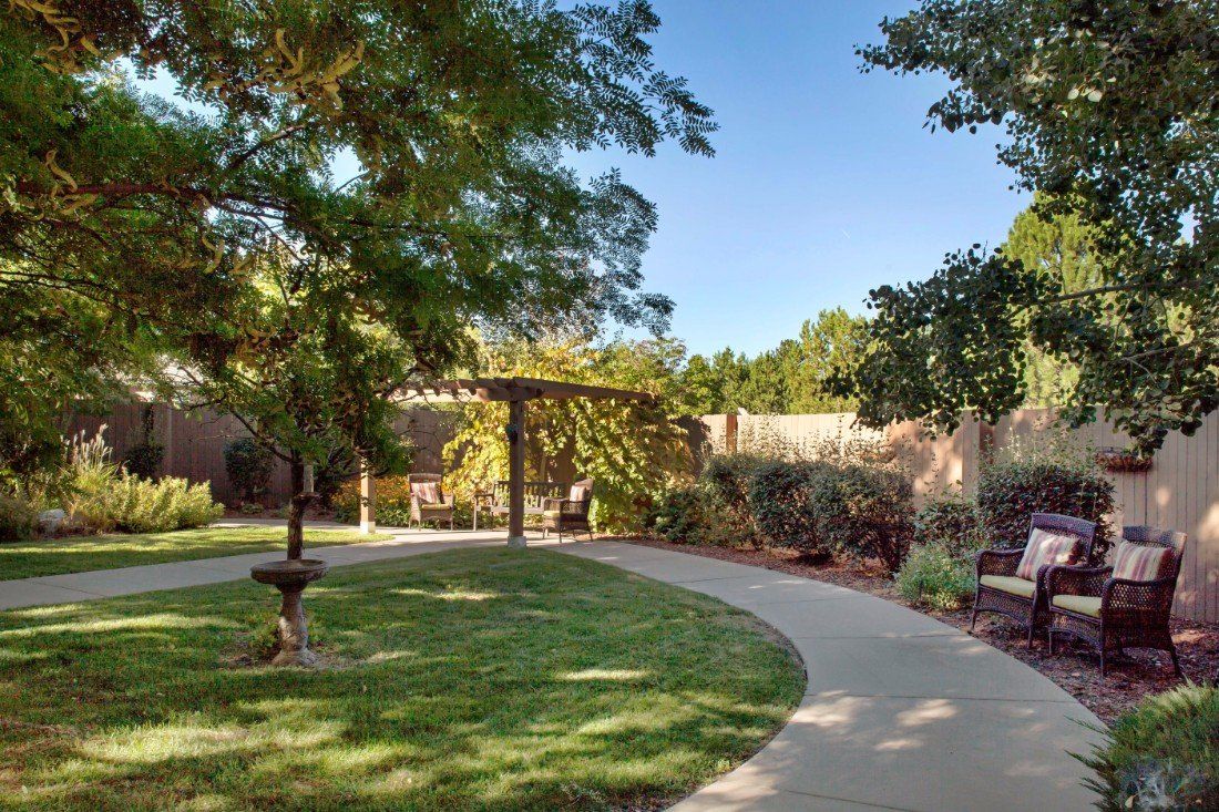 A peaceful garden with a winding pathway, surrounded by lush greenery and a wooden pergola.