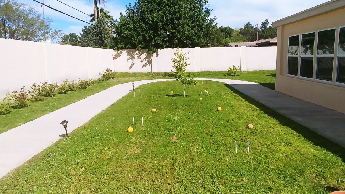 A garden with a pathway and scattered fruits on a sunny day.